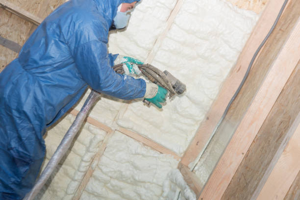 Best Reflective Insulation  in One Loudoun, VA